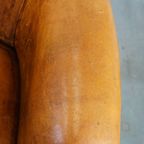 Subtiele, Cognac-kleurige Schapenleren Clubfauteuil Met Een Tijdloos Design En Correct Afgewerkt thumbnail 9
