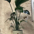 Industriele Bloempot Groot Off-White Onderkant thumbnail 2