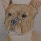 Aquarel J. Van Roey "Hond". thumbnail 4