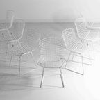 Vintage Mid-Century Set Van 7 Witte Harry Bertoia Eetkamerstoelen thumbnail 14