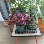 Mid-century Plantentafeltje Met Mozaïek Blad thumbnail 4