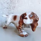 Cocker Spaniel Honden Beeld – Italië 1950/1960 – Mattie thumbnail 3