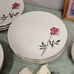 Vintage Borden (20 Cm) Bareuther Waldsassen Roze Roos (9X) thumbnail 5