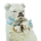 Zeldzaam Antiek Beeld Bulldog Mopshond Met Puppies Art Nouveau Porselein thumbnail 11