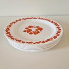 Arcopal Lotus 6 Platte Borden Diner Plates Retro Borden thumbnail 3