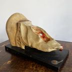 Het Oor – Anatomisch Model Circa 1950 (kovodelny Podnik, Tjechië) thumbnail 5