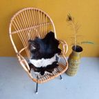 Vintage Rotan Fauteuil, Fifties Design, Rohe Van Sliedrecht thumbnail 7