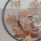 Vintage '70, Botanische Glaskunst. Gedroogde Bloemen En Planten. thumbnail 5