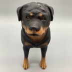 Vintage Beeld Rottweiler Handbeschilderd Italië thumbnail 2