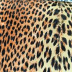 Biedermeyer-Stijl Bank Met Luipaardmotief thumbnail 19