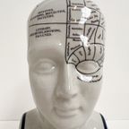 Keramieken 30 Cm Hoge Phrenology Hoofd, 1990’S thumbnail 5