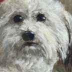 Rene Esgain. "Hond In Een Fauteuil". thumbnail 2