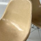 Eames Dsr Eiffel Eetkamerstoelen 2X Herman Miller Prijs P/St thumbnail 6