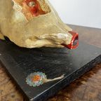 Het Oor – Anatomisch Model Circa 1950 (kovodelny Podnik, Tjechië) thumbnail 3