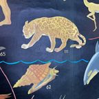 Xl Vintage Linen School Map – ‘relationships Of The Animal Kingdom’ thumbnail 5