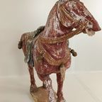 Tang Dynasty Paard thumbnail 3