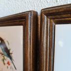 Vintage Tegeltjes Tegeltableau Lijstjes Met Vogels thumbnail 3