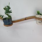 Plantenslang Rotan/bamboe. Plantenhouder Rohé/trio Noordwolde thumbnail 15