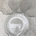 6 Schelpen Borden 20 X 20 Cm Arcopal Glas thumbnail 2