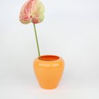 Orange Vase thumbnail 2