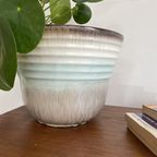 Cache-Pot 🌞 Springtime thumbnail 3