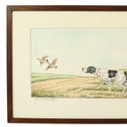 Maurice Brailly Franse Spaniël Hond Vogels Vintage Grafiek 1972 thumbnail 2