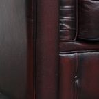 Grote Donkerrode Gevlamde Rundleren Chesterfield Clubfauteuil/ Armchair thumbnail 10