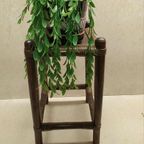 Bamboe Plantentafeltje thumbnail 2
