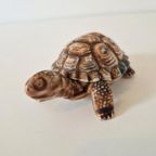 Wade Porcelein Schildpad Turtle Ringen Doos Beeldje Doosje thumbnail 5