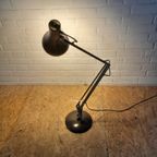 Anglepoise Desklamp thumbnail 2