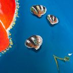 Schilderij Lobster Menu thumbnail 7