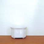 Witte Lage Bloempot thumbnail 3