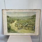 Brocante Schoolplaat Wijnbouw Frankrijk Wandkaart thumbnail 2