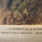 Vintage Linnen Schoolkaart – In Het Duin thumbnail 11