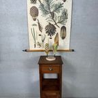 Antiek Botanisch Model ‘De Grove Den’ – Brendel thumbnail 13