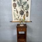Antiek Botanisch Model ‘de Grove Den’ – Brendel thumbnail 13