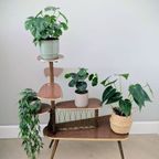 Vintage, Retro Planten Tafeltje/etagère Jaren '50-'60 thumbnail 9