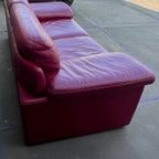 Natuzzi Bank. Leer. Italië. thumbnail 4
