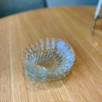 Schelp Schaaltjes thumbnail 3