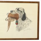 Maurice Brailly Jachthond Fazant Vintage Grafiek In Kleur 1972 thumbnail 3