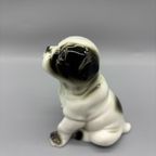 Porseleinen Engelse Buldog Pup thumbnail 6