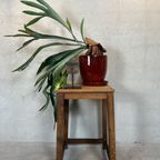 Brutalist Bijzet- Of Plantentafel – Eik thumbnail 3
