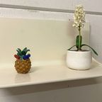 White Wall Shelf By Rudolf Horn Design 1968 Ddr thumbnail 9
