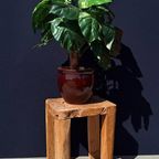 Set Van 2 Vintage Fauteuils Met Gebogen Houten Armleggers thumbnail 12