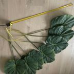 Zijden Bladeren Silk-ka Alocasia thumbnail 5
