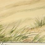 Maurice Brailly Franse Spaniël Hond Vogels Vintage Grafiek 1972 thumbnail 10