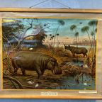 Vintage Linnen Schoolkaart – Nijlpaard – M.a. Koekoek thumbnail 2