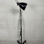 Original Anglepoise Herbert Terry 1209 – Vloerlamp – 1940’s thumbnail 21
