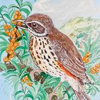 Vintage Vogel Schilderij Mus Olieverf thumbnail 3