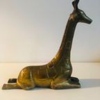 Messing Giraffe thumbnail 6